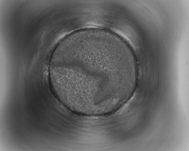 X0000094791355200711301558