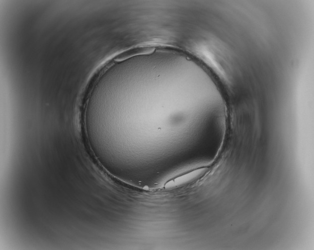 X0000094791356200711301558