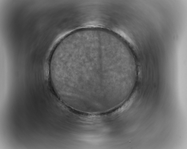 X0000094791358200711301558