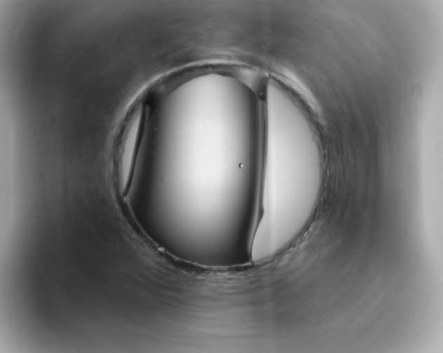 X0000094791360200711301558