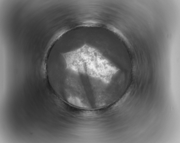 X0000094791362200711301558