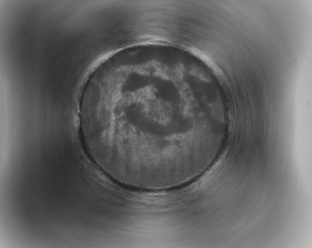 X0000094791363200711301558