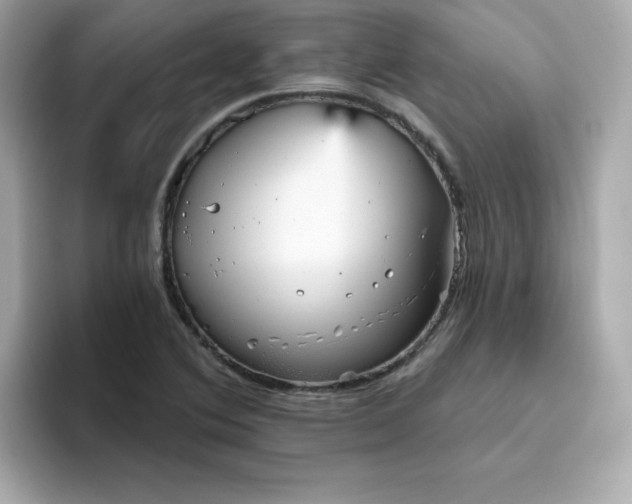 X0000094791364200711301558