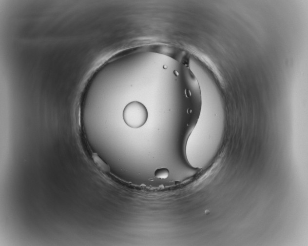 X0000094791365200711301558