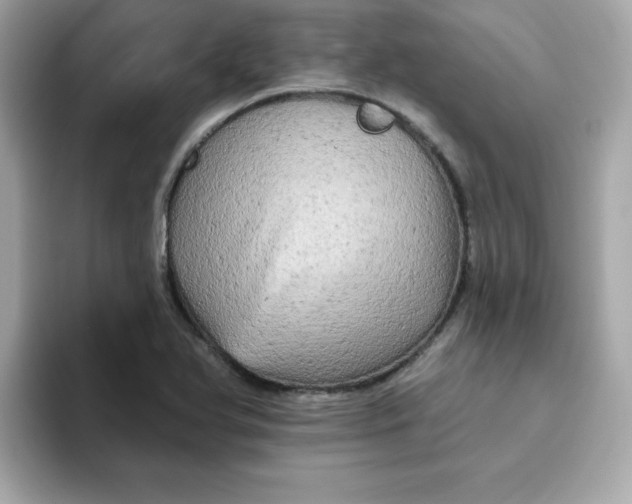 X0000094791366200711301558