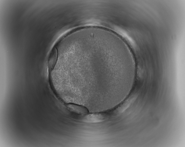 X0000094791368200711301558