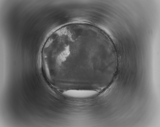 X0000094791371200711301558