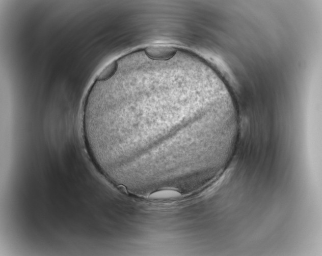 X0000094791374200711301558