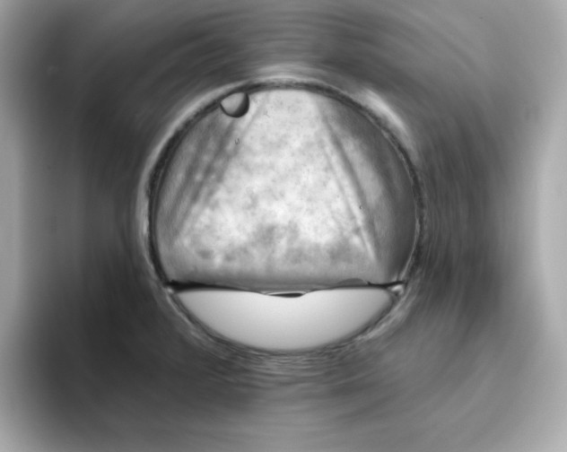 X0000094791376200711301557