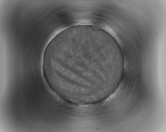 X0000094791378200711301557