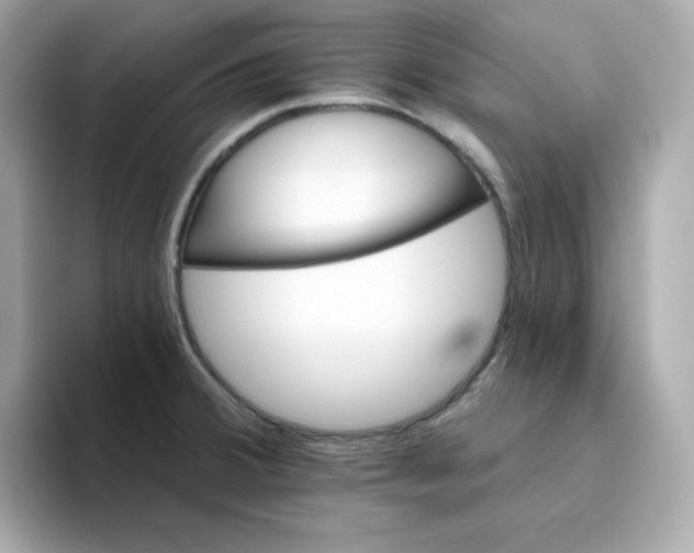 X0000094791380200711301557