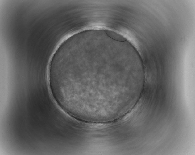 X0000094791382200711301557