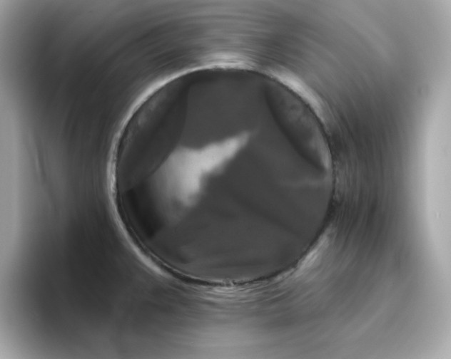 X0000094791383200711301557