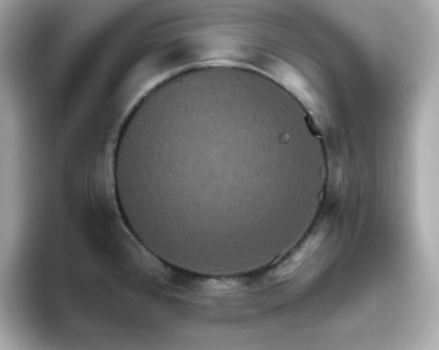 X0000094791384200711301557