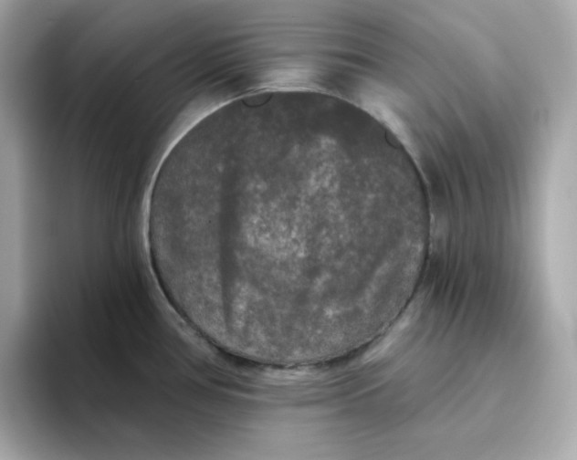 X0000094791386200711301557