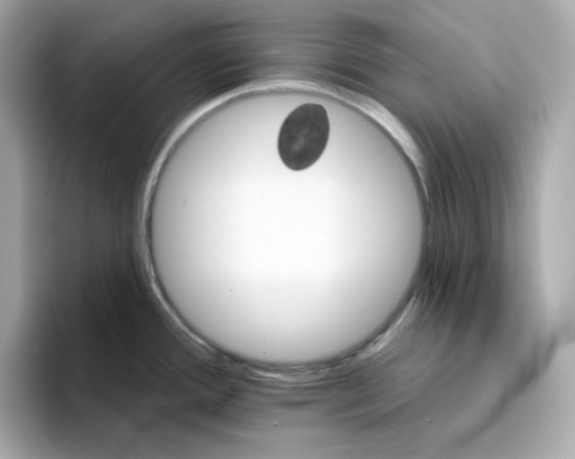 X0000094791388200711301557