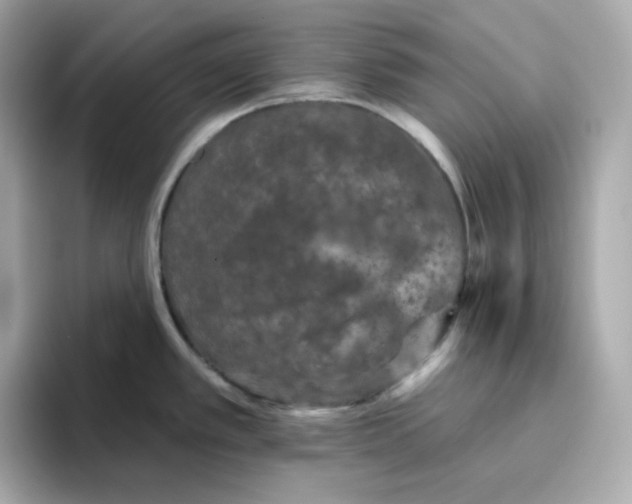 X0000094791389200711301557