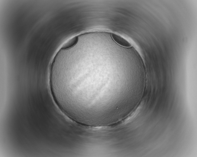 X0000094791390200711301557