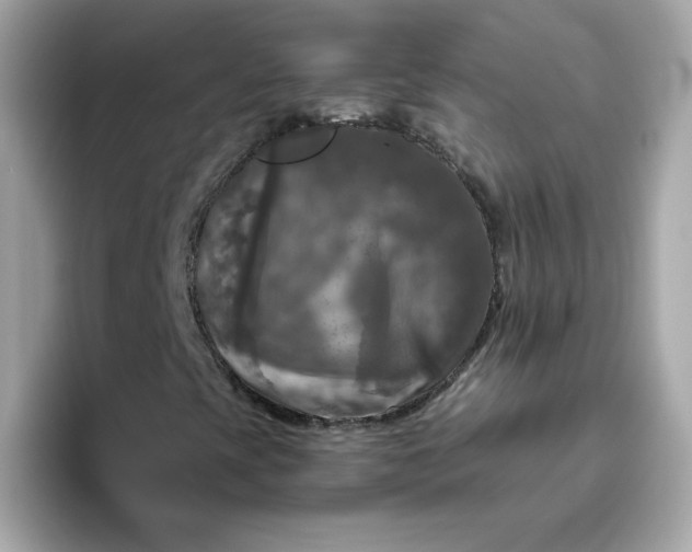 X0000094791393200711301557