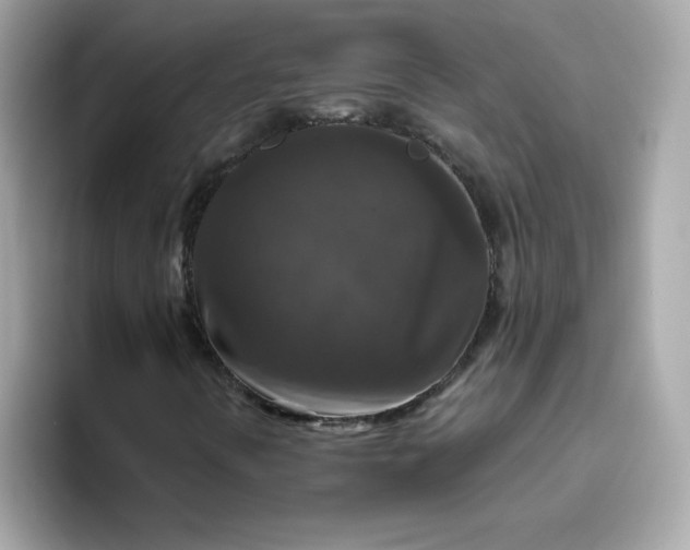 X0000094791394200711301557