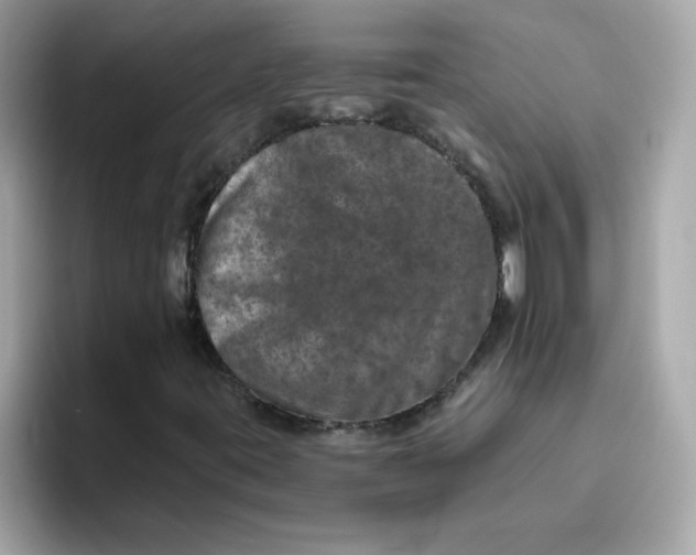 X0000094791395200711301557