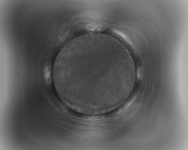 X0000094791396200711301557