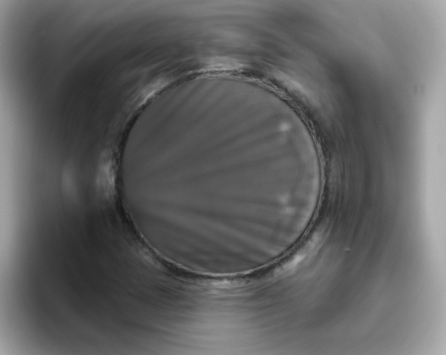 X0000094791401200711301557