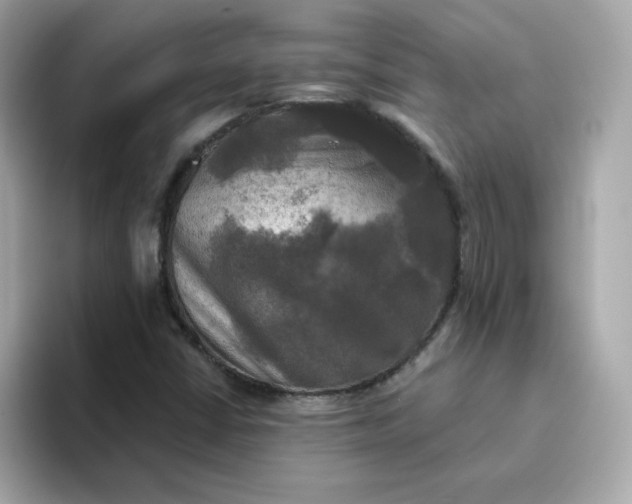 X0000094791402200711301557