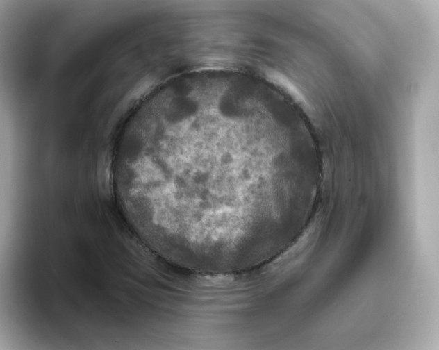 X0000094791403200711301557