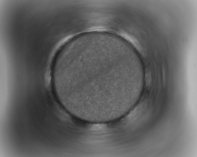 X0000094791406200711301557