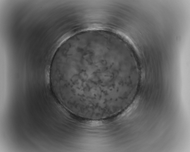 X0000094791409200711301557