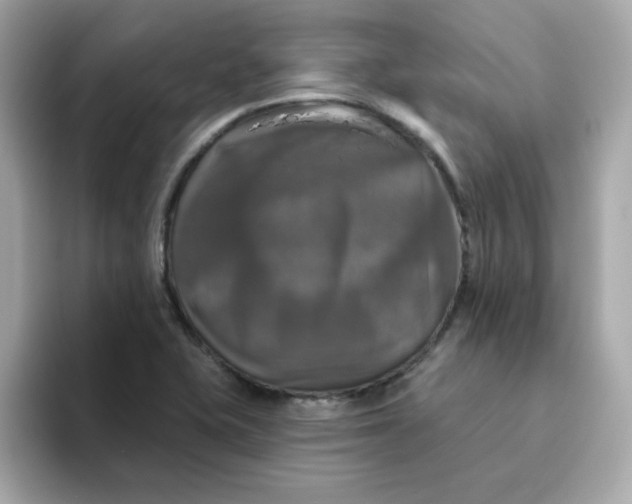 X0000094791415200711301557