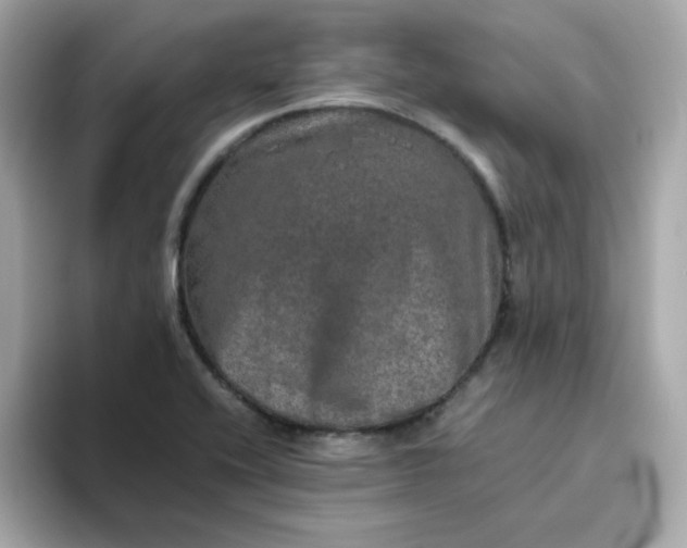 X0000094791416200711301557