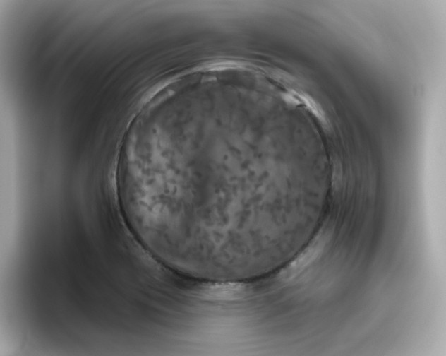 X0000094791417200711301557