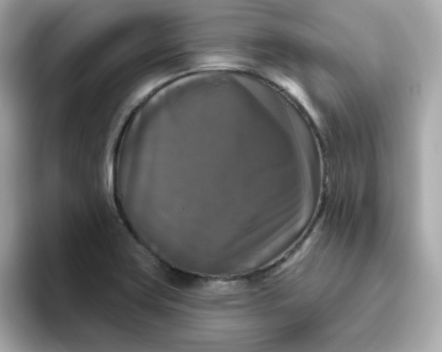 X0000094791419200711301557