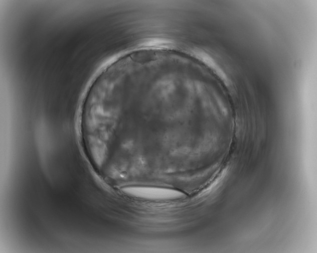 X0000094791421200711301557