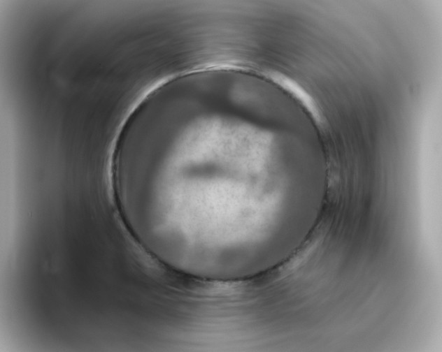 X0000094791423200711301557