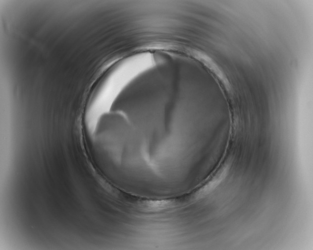 X0000094791425200711301557