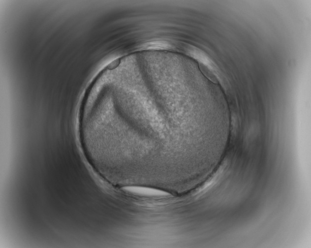 X0000094791426200711301557