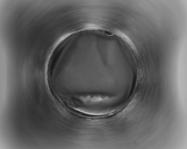 X0000094791427200711301557