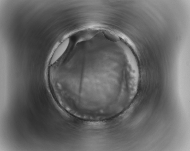 X0000094791429200711301557