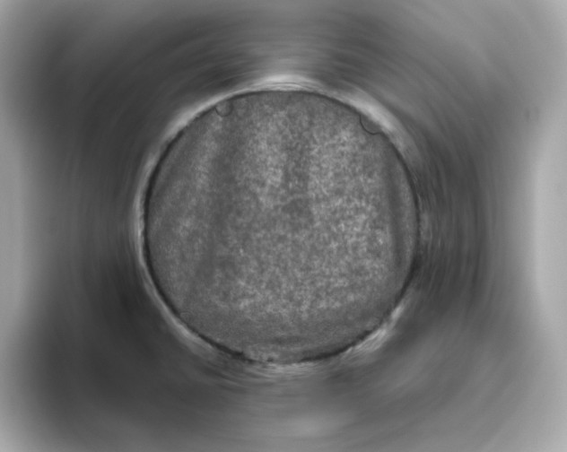 X0000094791430200711301557