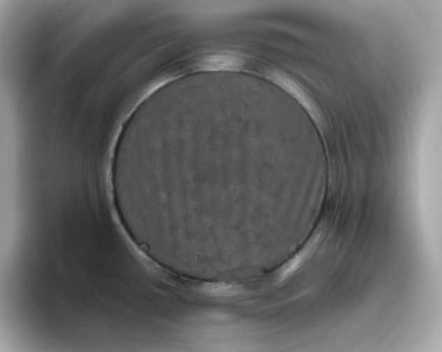 X0000094791434200711301557