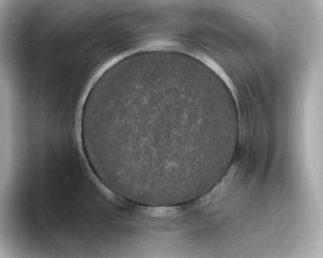 X0000094791437200711301557