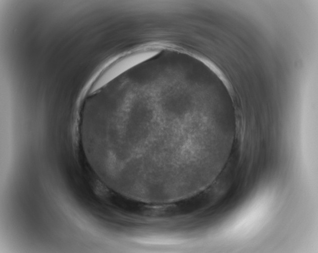 X0000094791438200711301557