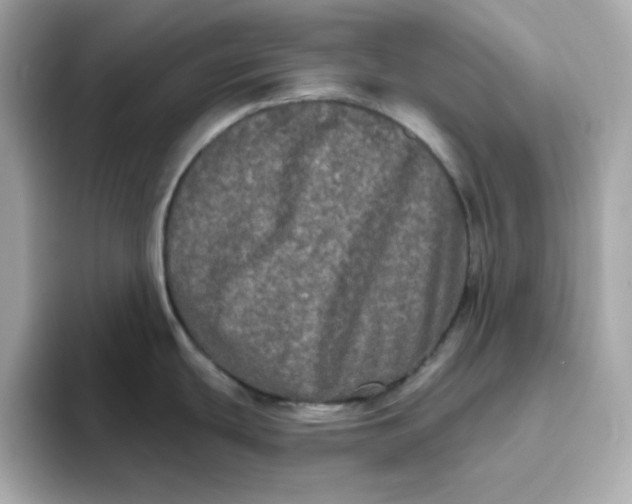 X0000094791439200711301557