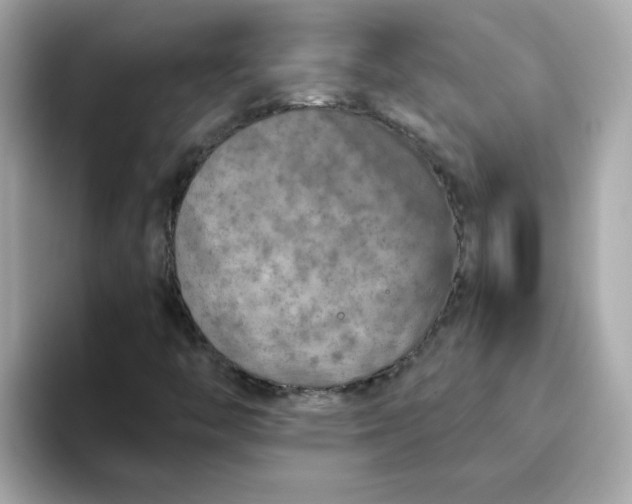 X0000094791446200711301557