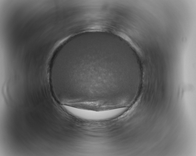 X0000094791450200711301557