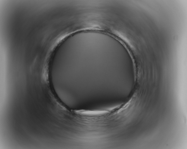 X0000094791455200711301556