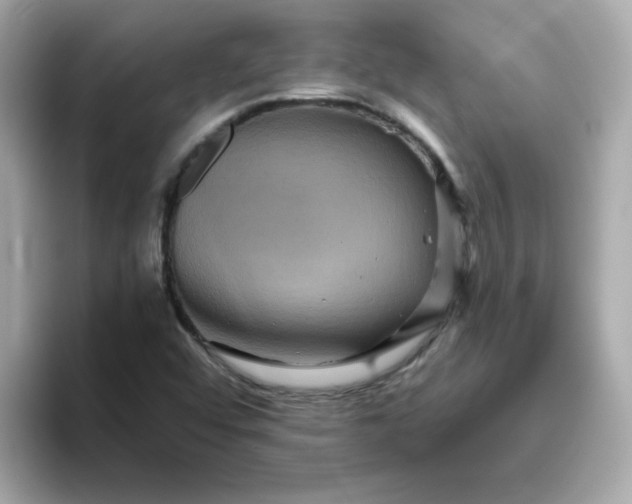 X0000094791456200711301556